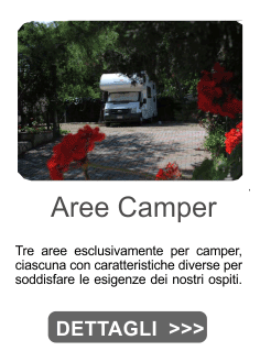 aree camper vieste